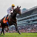 hkjc bet horse racing